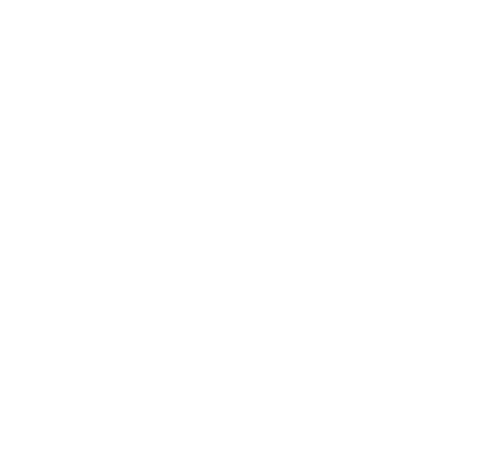 Medal icon