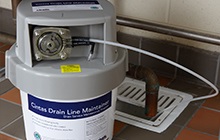 Drain Line Maintainer