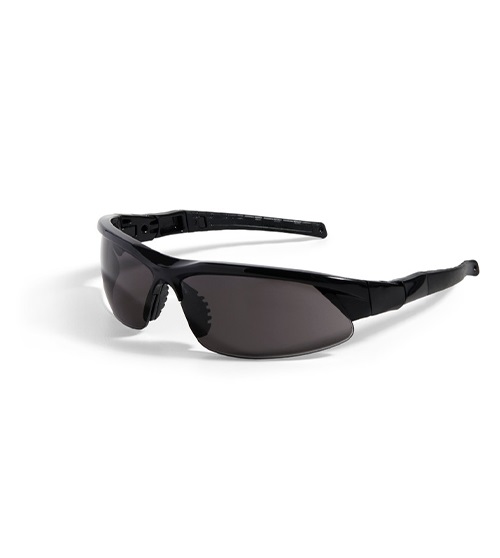 THE SAFETY DIRECTOR FOG BLASTER 6X