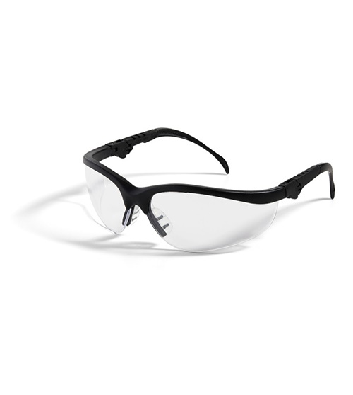 THE SAFETY DIRECTOR VIZICOR Safety Glasses