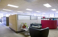 Office Furnishings/Carpet