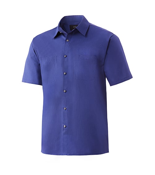 Blue Short Sleeve Wrinkle-Free Shirt