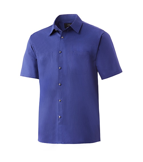 Blue Short Sleeve Wrinkle-Free Shirt